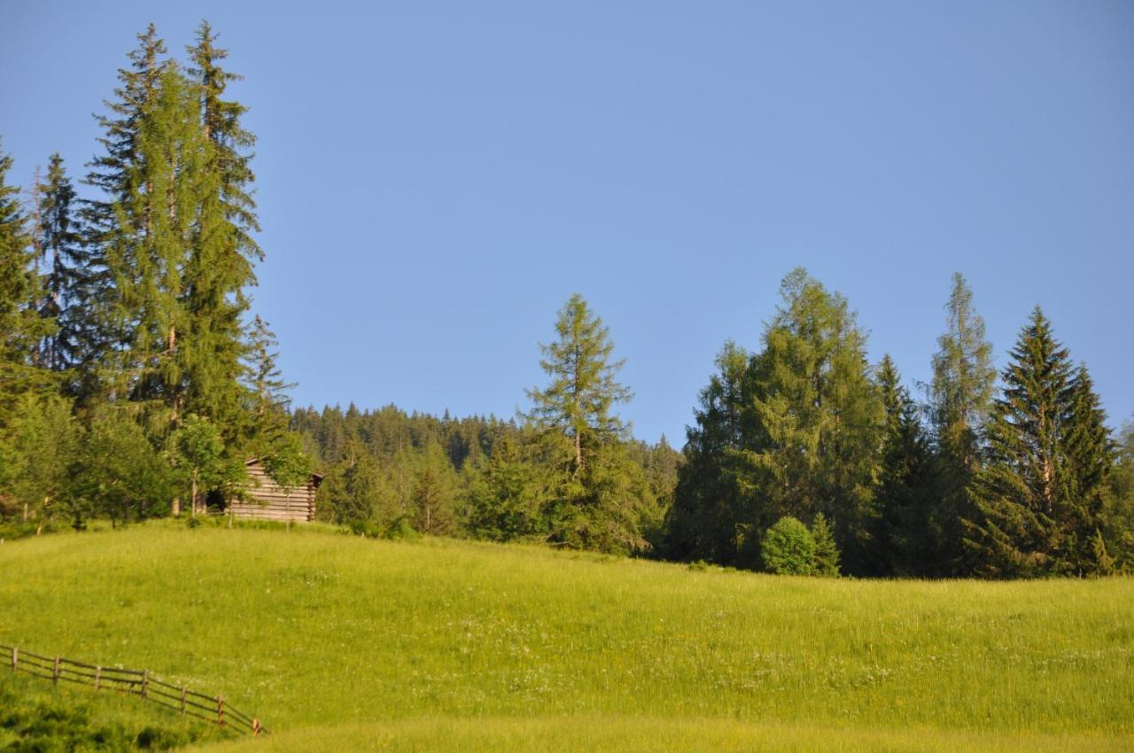 Das "Zwislegggut" Wagrain Exterior photo